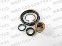 REPAIR KIT AIR CYLINDER 2-1/2'