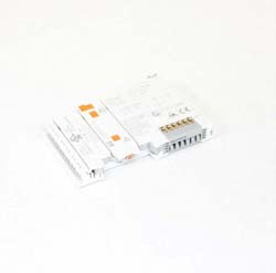 OUTPUT ANALOG 2 * 10V