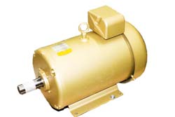 25HP 2P TEFC UNIVOLTS