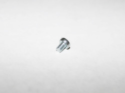 SCREW-SLTDMTRCCHEESEHDM3X4.0MM