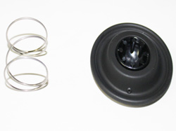 DN25 FKM DIAPHRAGM REP. KIT-BU
